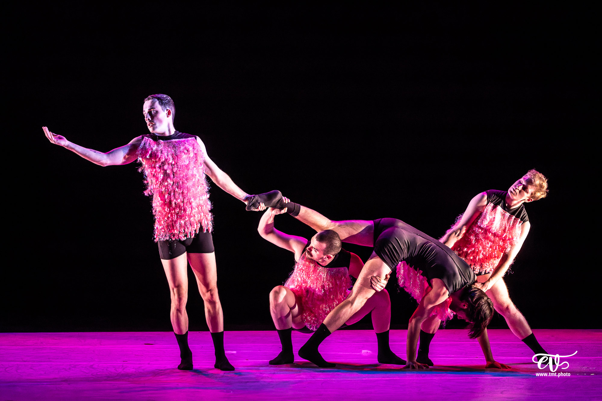 A4 (COMME LA FEUILLE) CIE CHICOS MAMBO